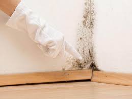 Best Asbestos and Lead Testing During Mold Inspection  in North Star, DE